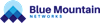 Blue Mountain Networks logo