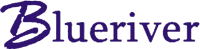 Blueriver Networking Services logo